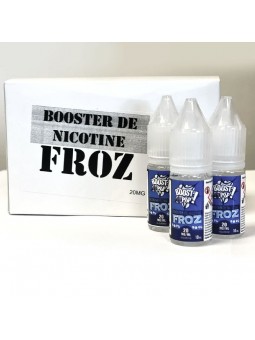 BOOSTER DE NICOTINE FROZ...