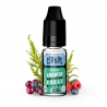 DIY - Absinthe Rouge