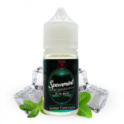 DIY Spearmint 30ml -...