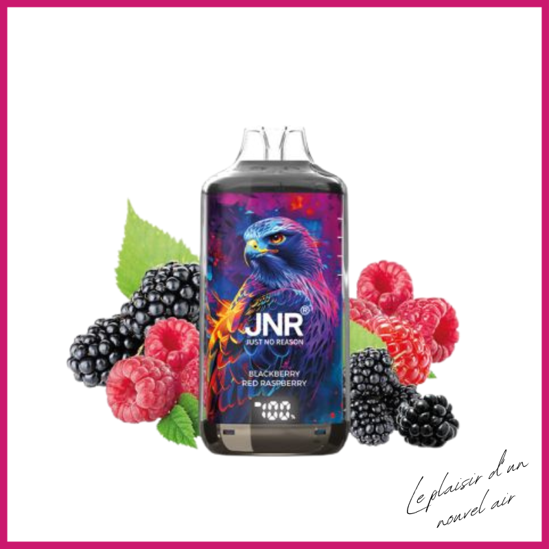 Puff JNR-  Mûre Framboise