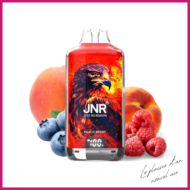 Puff JNR rechargeable - Peach Berry