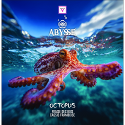OCTOPUS 50ML - VAPOTE-MOI