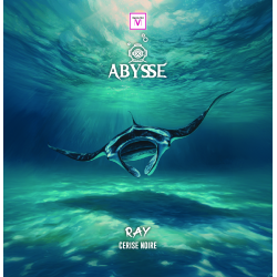 RAY 50ML - VAPOTE-MOI